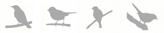 SoGG graphic